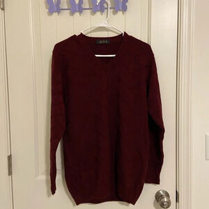EUC |‎ Axis men’s v-neck sweater — XL